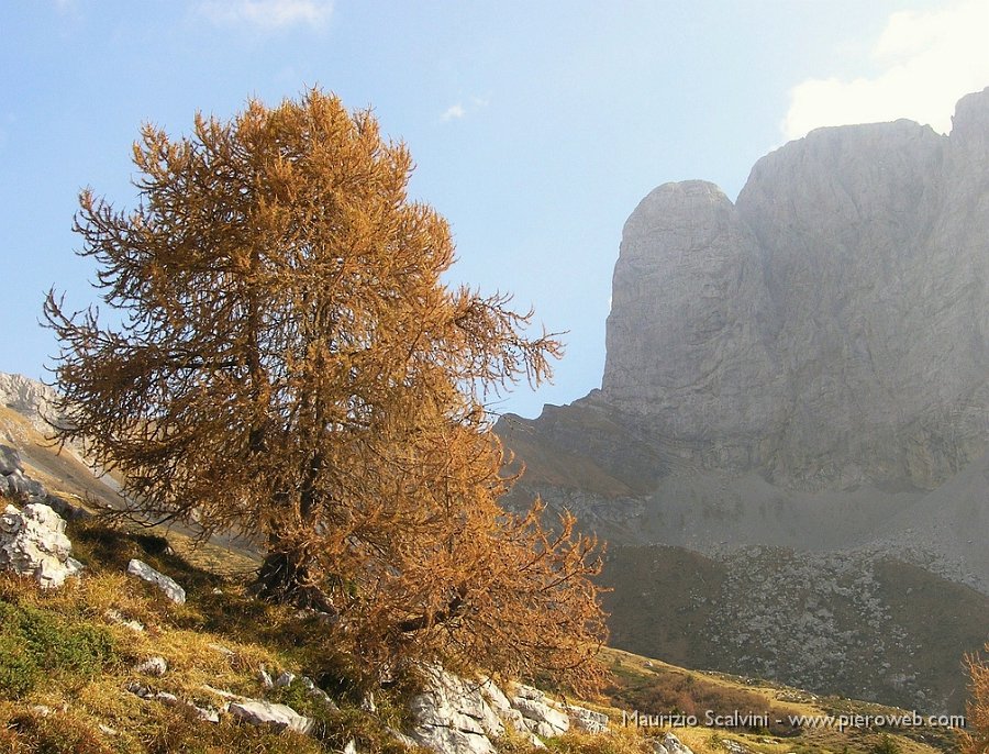 05 Ammiro lo spigolo nord della Presolana.JPG